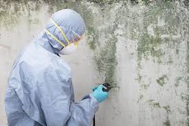  Marquette Heights, IL Mold Removal Services Pros